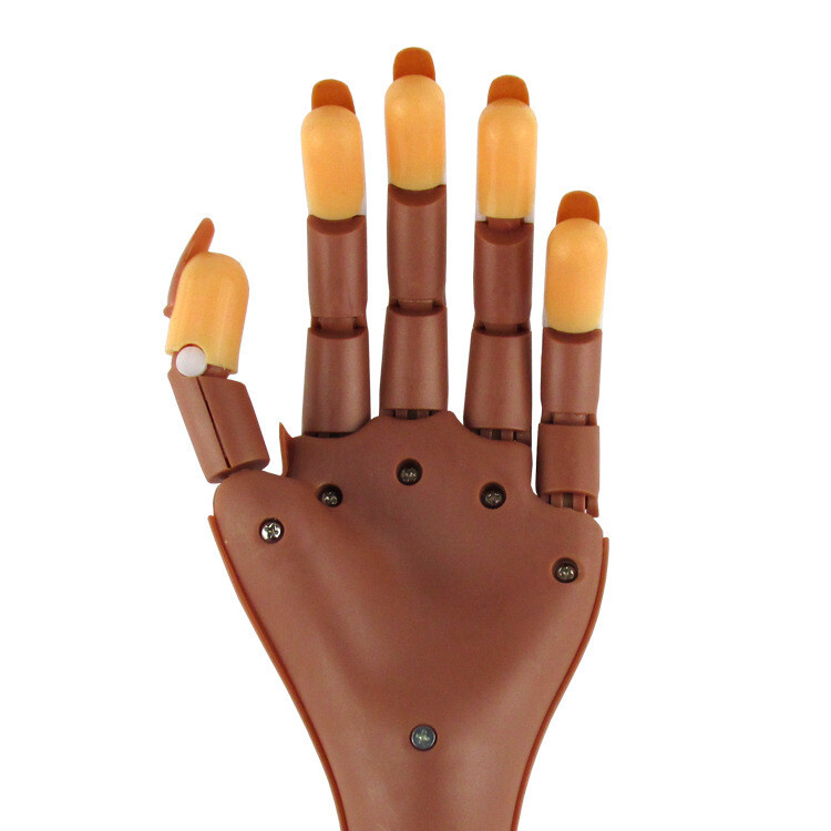 MANO DE PRACTICA ARTICULADA MANICURIA+ 100 TIPS COLOR MARRON EXCELENTE CALIDAD - Imagen 2